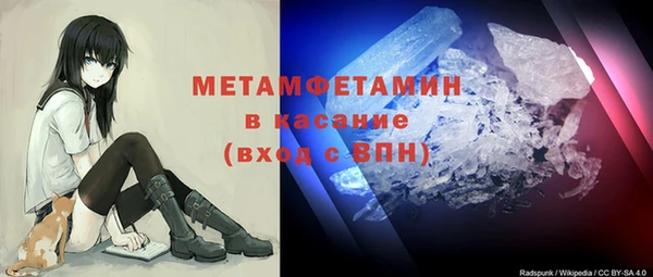 индика Пестово