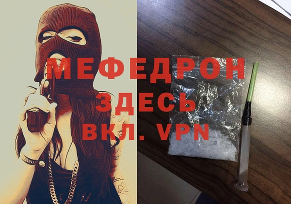 индика Пестово