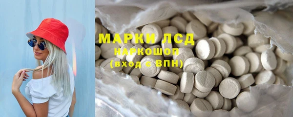 индика Пестово