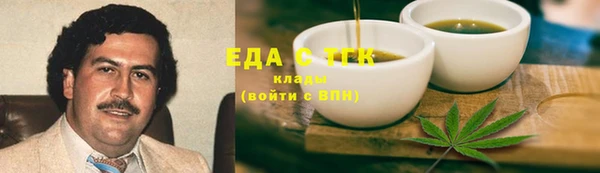 индика Пестово