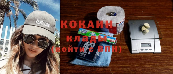 индика Пестово