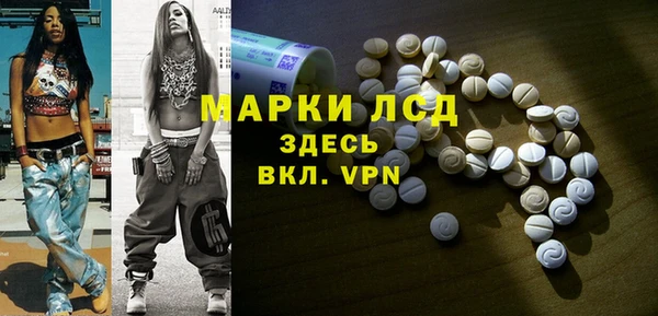 индика Пестово