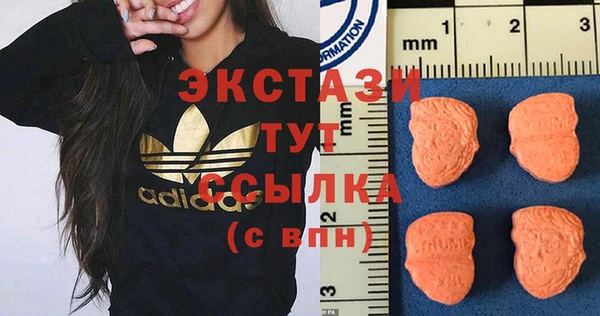 индика Пестово