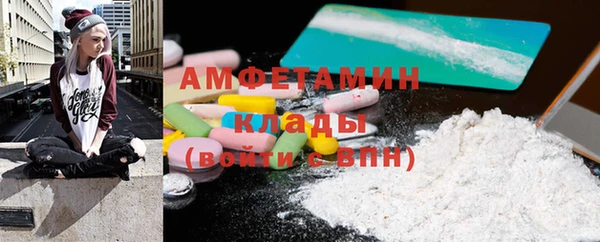 индика Пестово