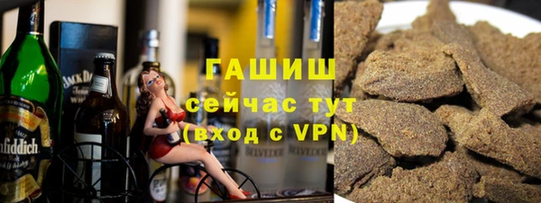 индика Пестово
