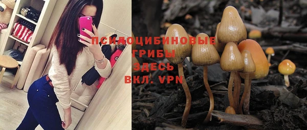 индика Пестово