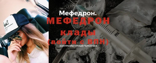 индика Пестово