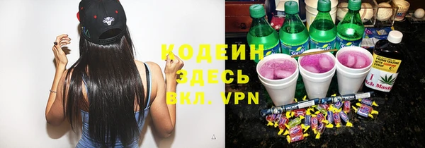 индика Пестово