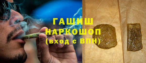 индика Пестово