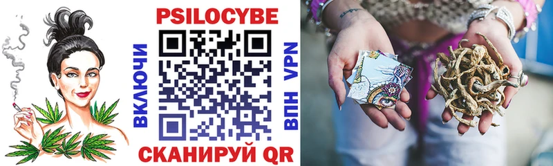 Галлюциногенные грибы Psilocybe  ссылка на мегу вход  сайты даркнета официальный сайт  Власиха 